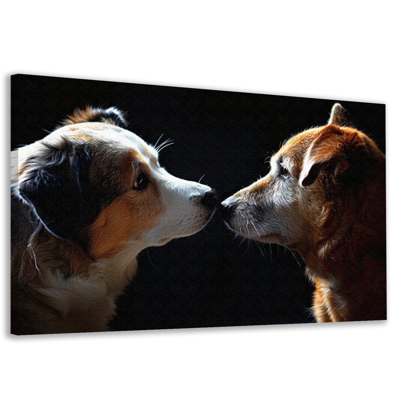 Twee honden in donkere omgeving kijken elkaar aan canvas