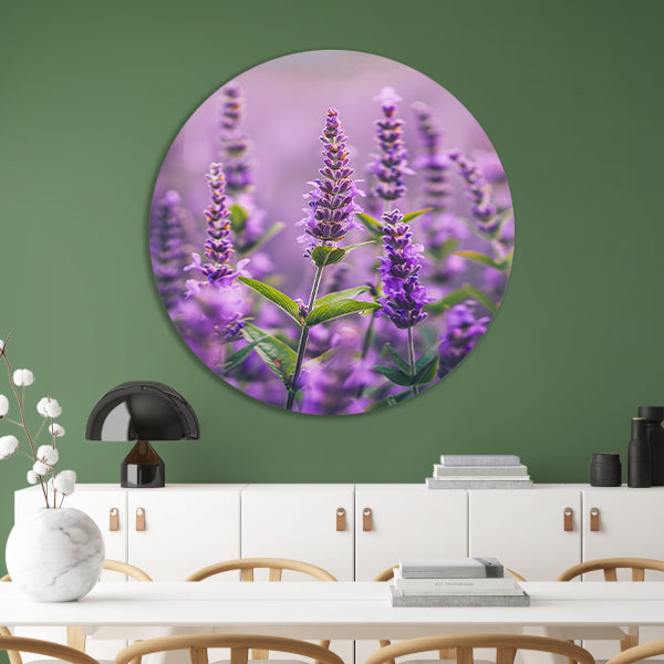 Close-up van bloeiende lavendelbloemen in paars forex muurcirkel