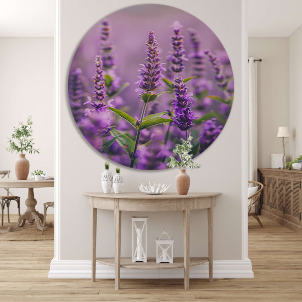 Close-up van bloeiende lavendelbloemen in paars forex muurcirkel