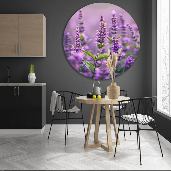 Close-up van bloeiende lavendelbloemen in paars forex muurcirkel