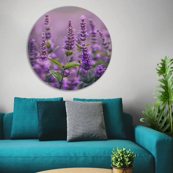 Close-up van bloeiende lavendelbloemen in paars forex muurcirkel