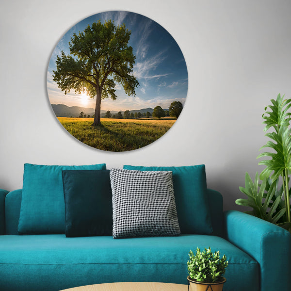 Majestueuze boom bij zonsondergang in veld aluminium muurcirkel