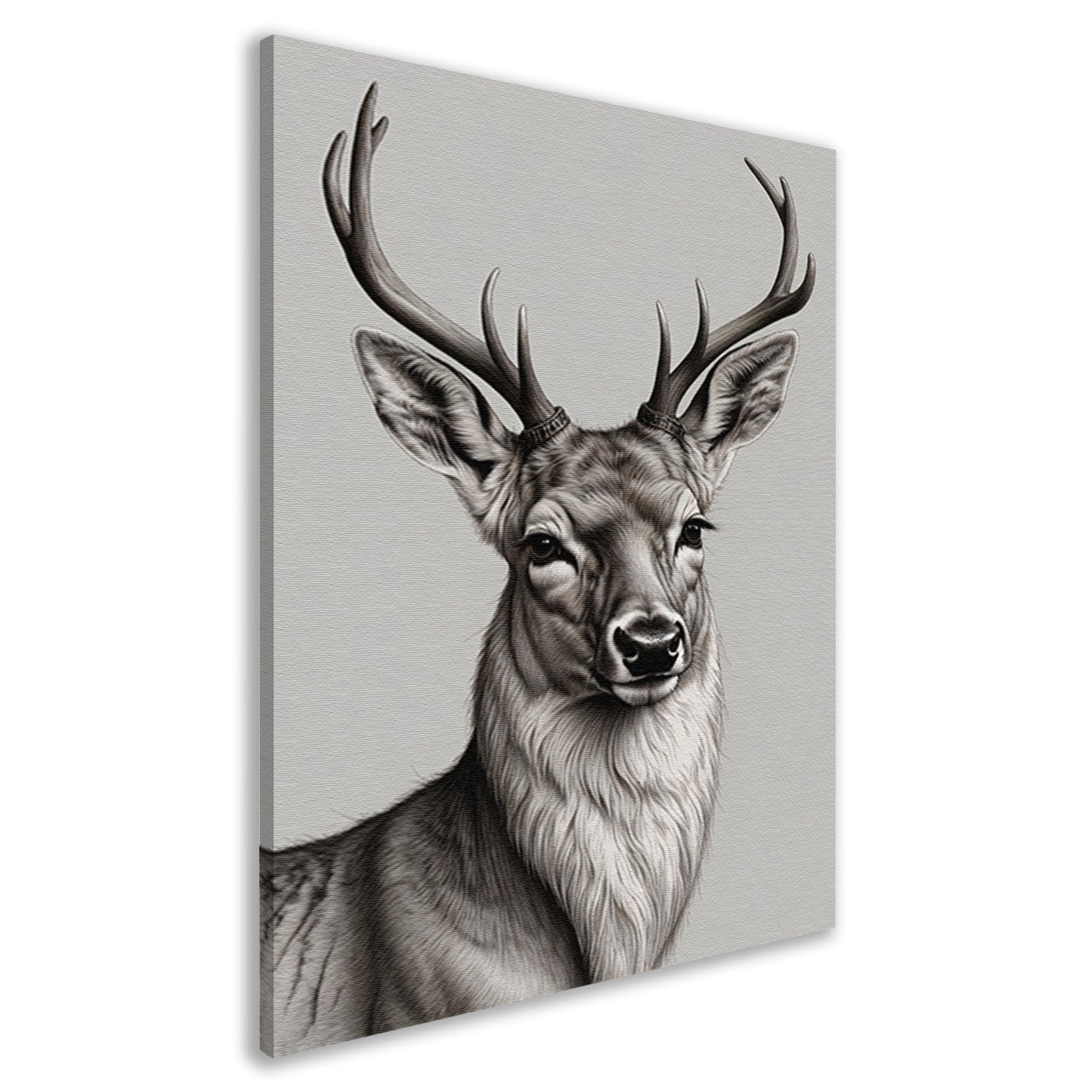 Zwart-Wit Hert met Imposant Gewei canvas