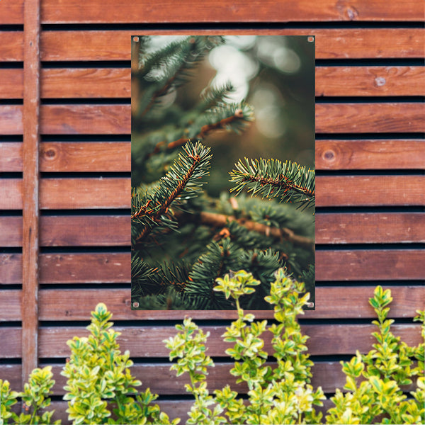 Close-up van Groene Dennennaalden met Bokeh tuinposter