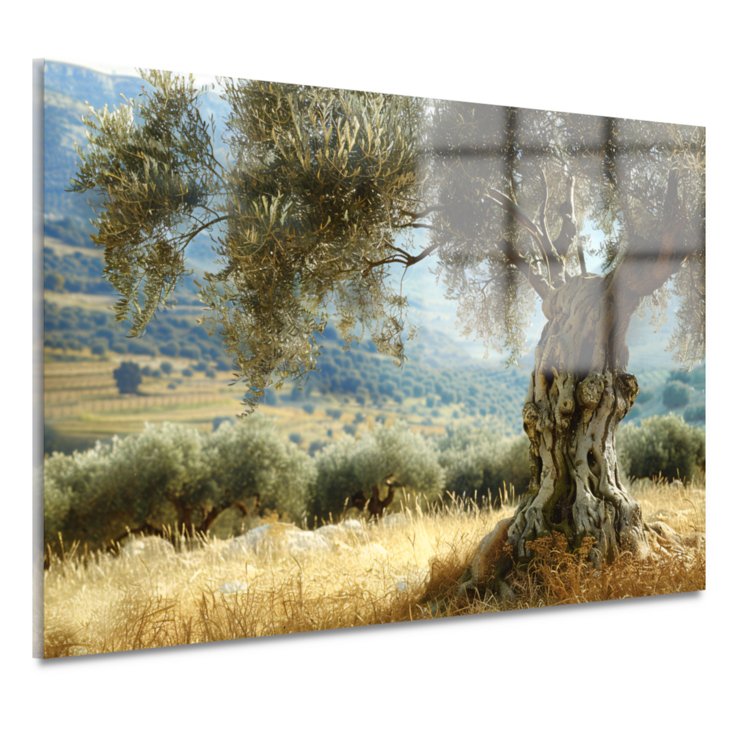 Eenzame boom in impressionistisch landschap acrylglas