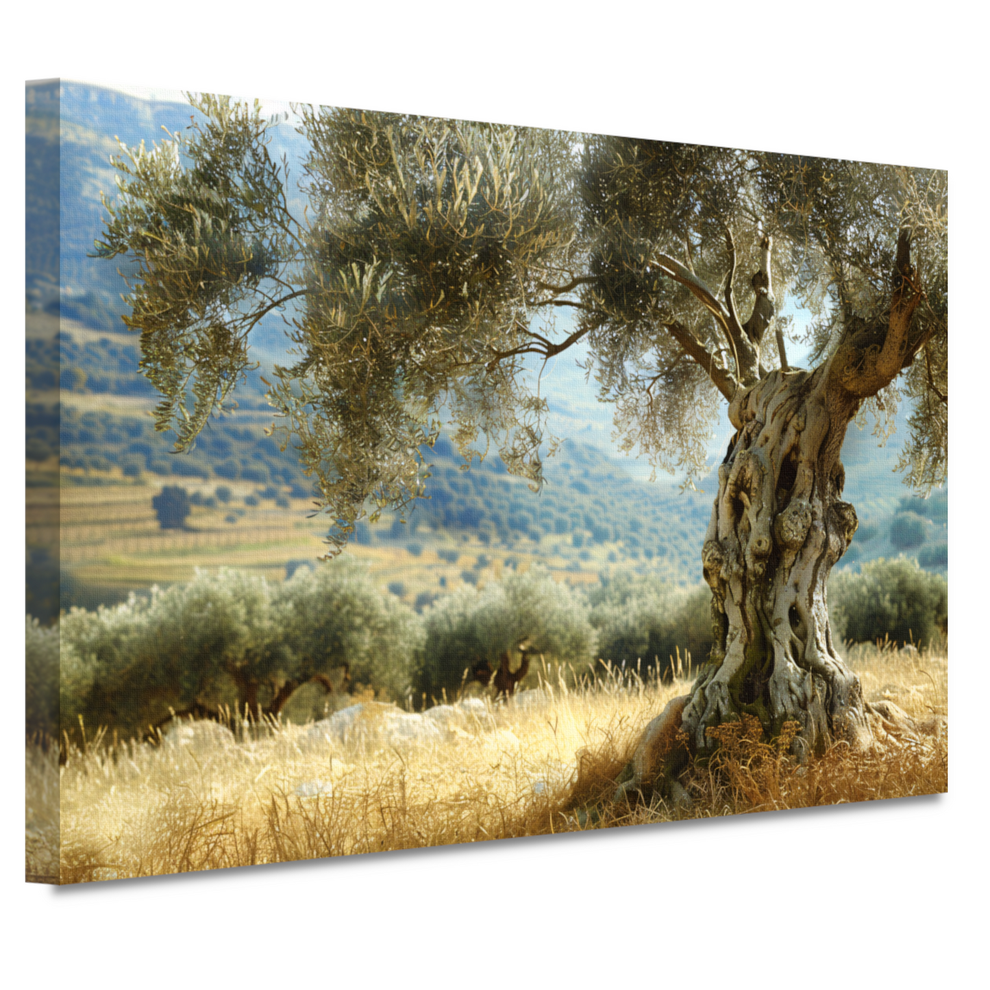 Eenzame boom in impressionistisch landschap canvas