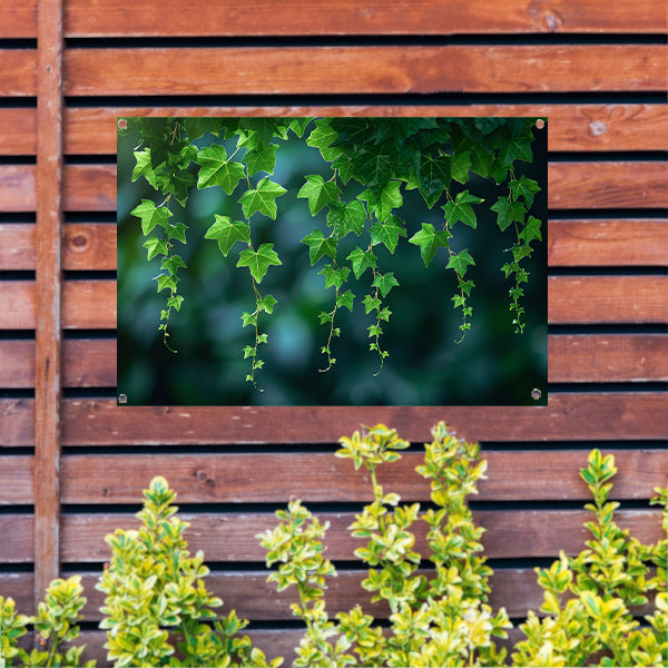 Dans van licht door hangende bladeren tuinposter