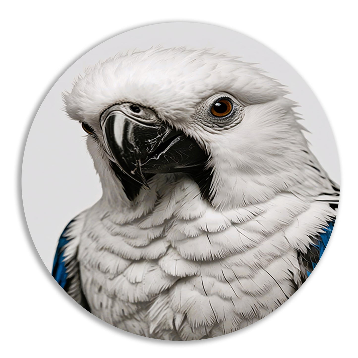 Witte Vogel met Blauwe Accenten Illustratie aluminium muurcirkel