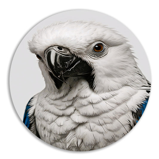 Witte Vogel met Blauwe Accenten Illustratie aluminium muurcirkel