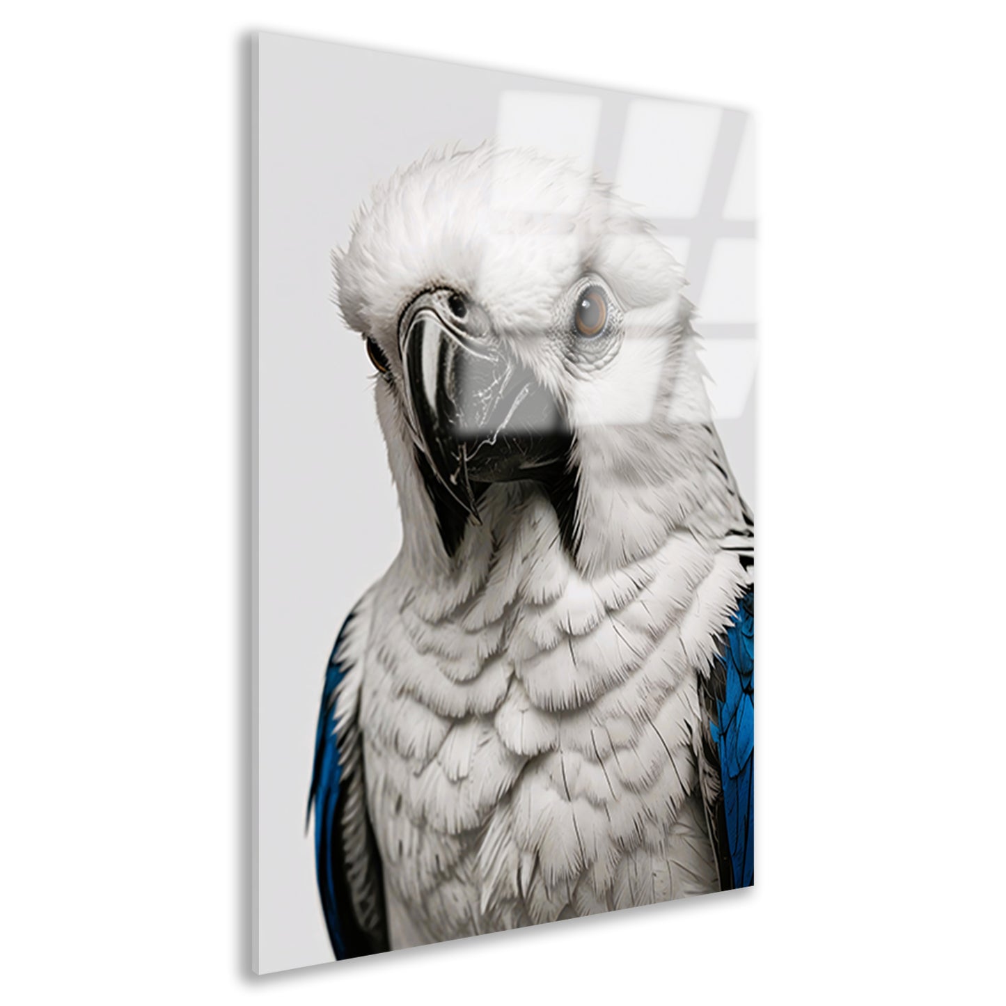 Witte Vogel met Blauwe Accenten Illustratie acrylglas