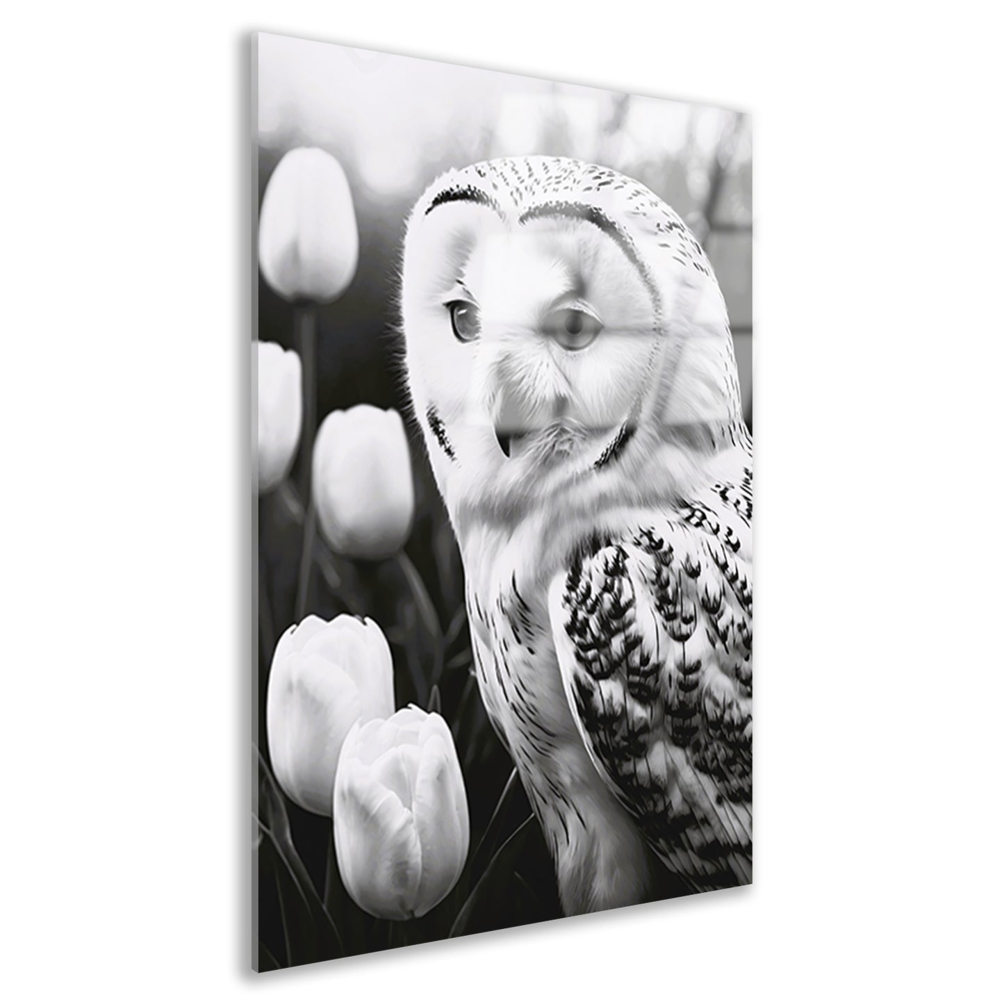 White Owl and Tulips in Monochrome Acrylglas