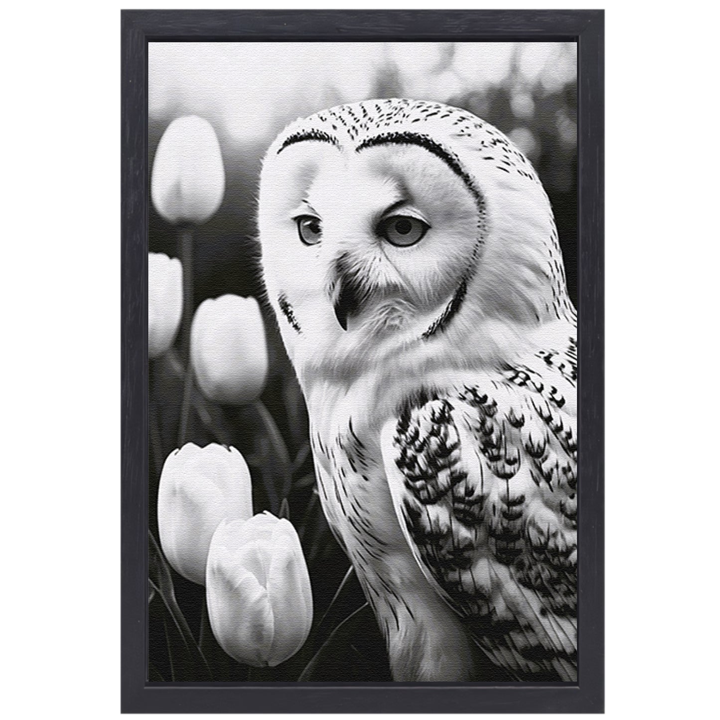 White Owl and Tulips in Monochrome canvas met baklijst