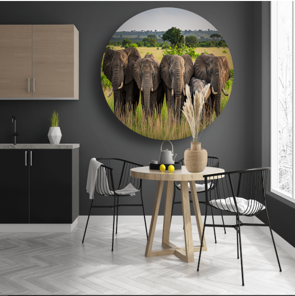 De Stille Kracht van de Natuur aluminium muurcirkel