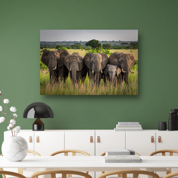 De Stille Kracht van de Natuur canvas