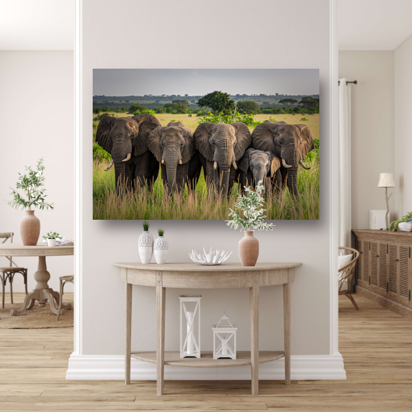 De Stille Kracht van de Natuur canvas