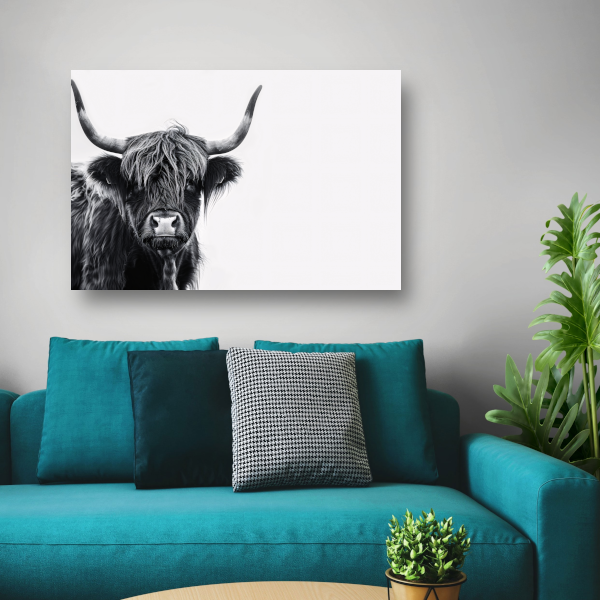 Portret van een Schotse hooglander in zwart-wit poster
