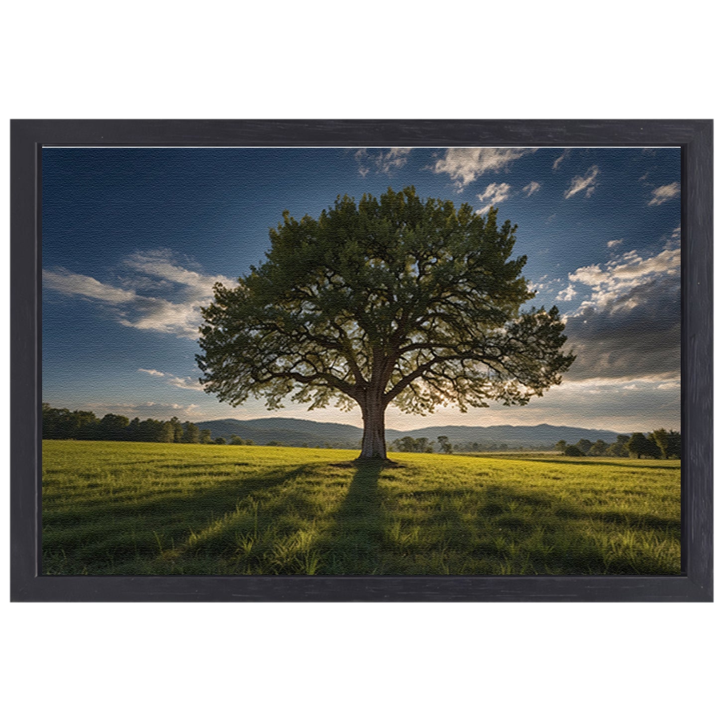 Majestueuze boom in uitgestrekt landschap canvas met baklijst