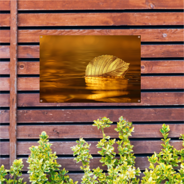 Gouden blad op kalme wateren bij zonsondergang tuinposter