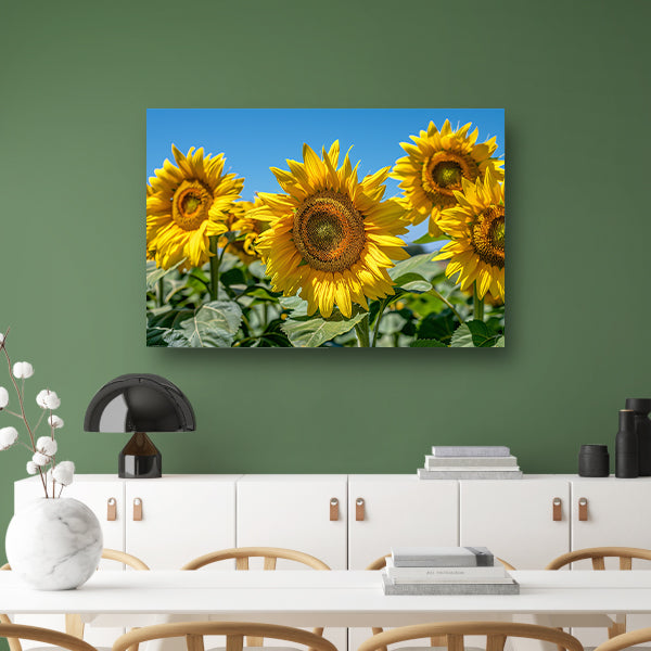 Levendige zonnebloemen onder een helderblauwe hemel poster