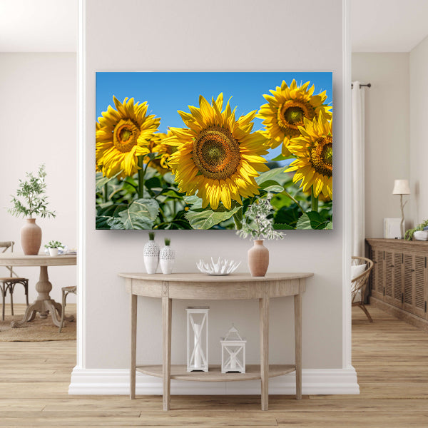 Levendige zonnebloemen onder een helderblauwe hemel poster