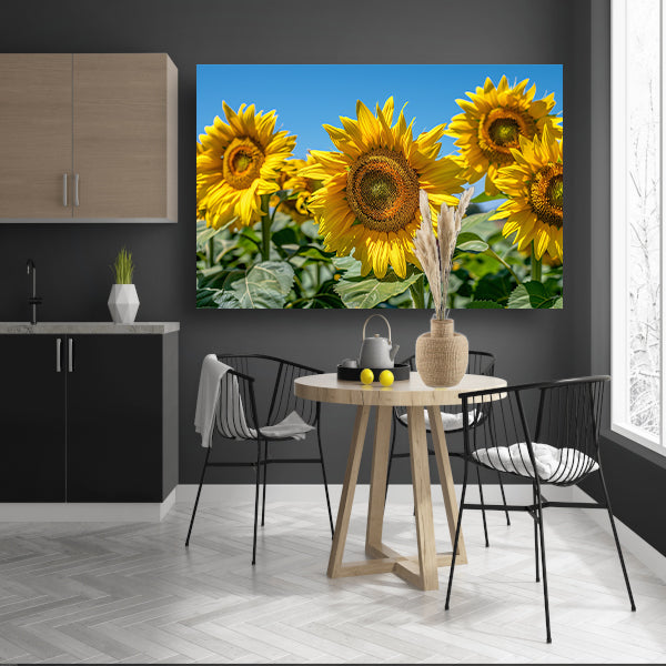 Levendige zonnebloemen onder een helderblauwe hemel poster