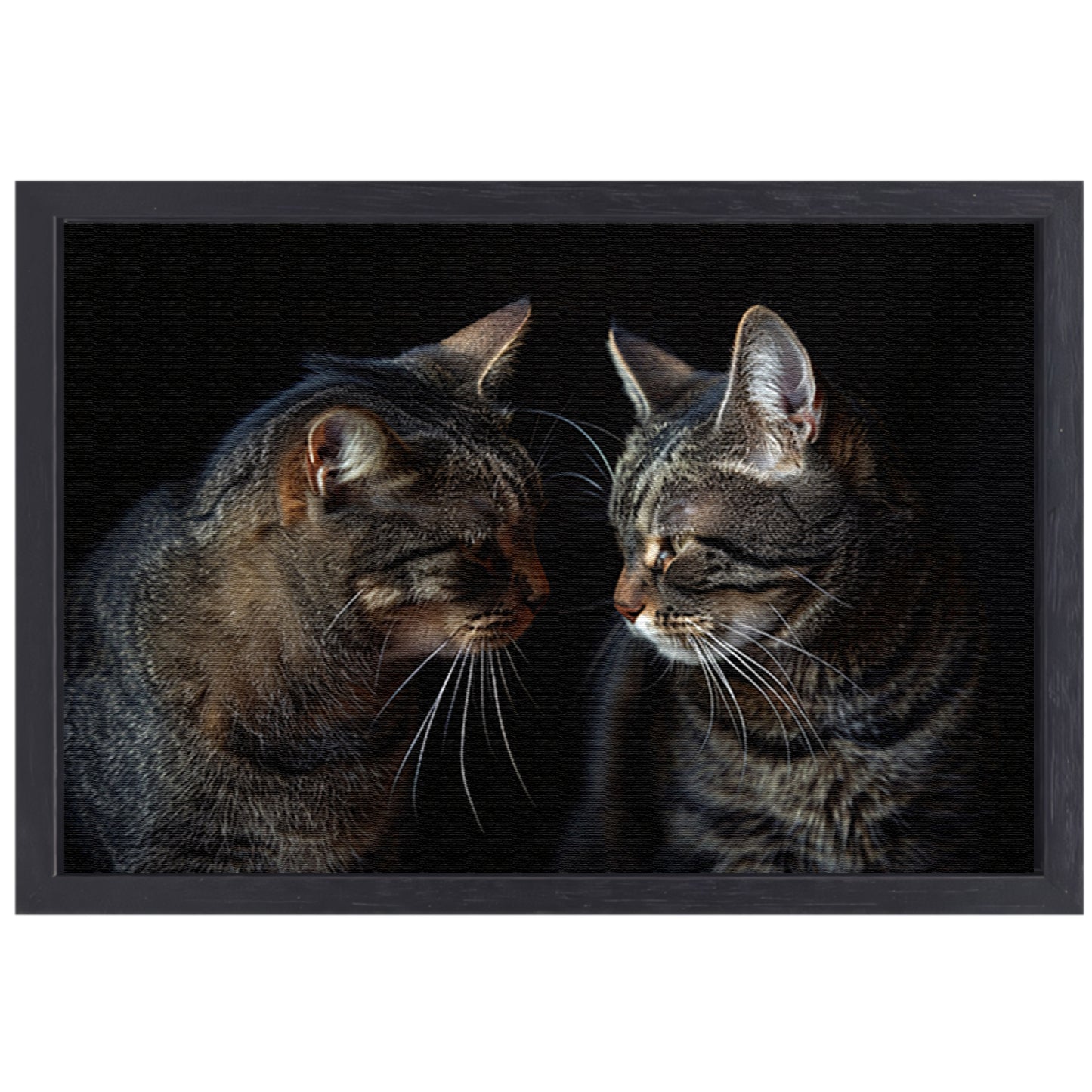 Twee katten in een donkere omgeving canvas met baklijst