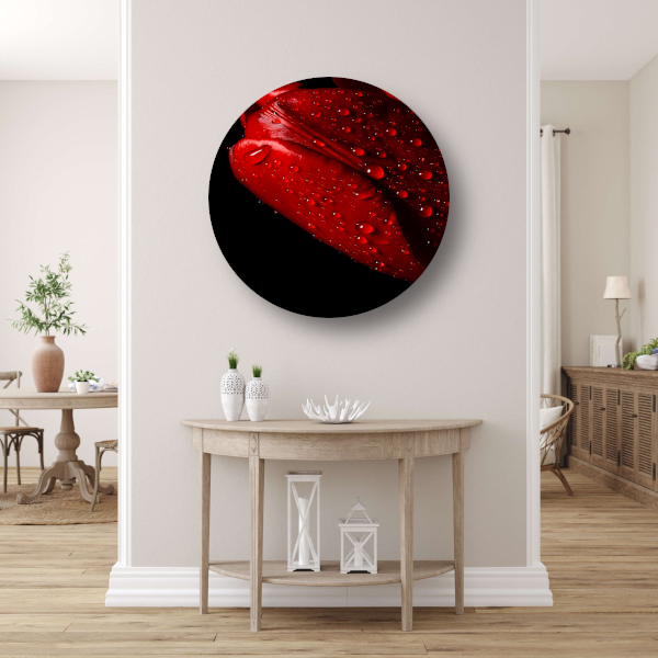 Rode Tulp met Dauwdruppels aluminium muurcirkel