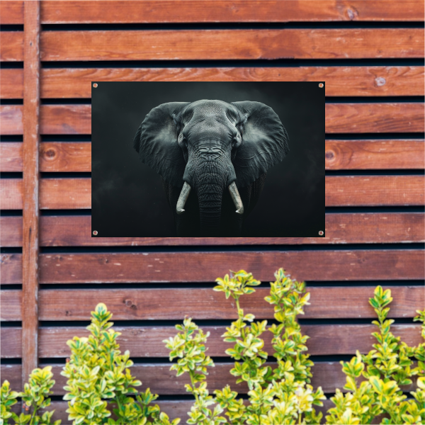 Olifant in het Duister met Slagtanden tuinposter