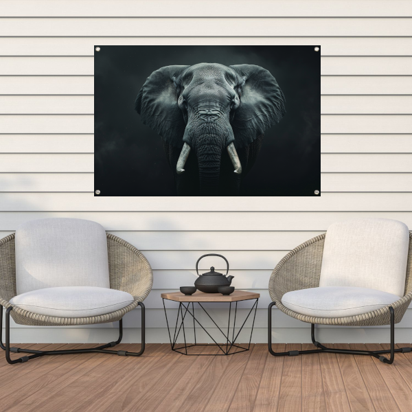 Olifant in het Duister met Slagtanden tuinposter