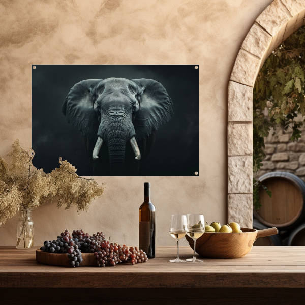 Olifant in het Duister met Slagtanden tuinposter