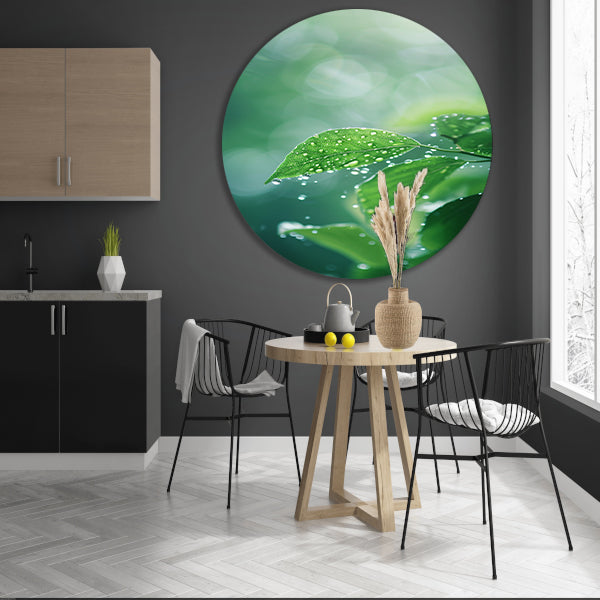 Blad met Waterdruppels in Zonlicht forex muurcirkel