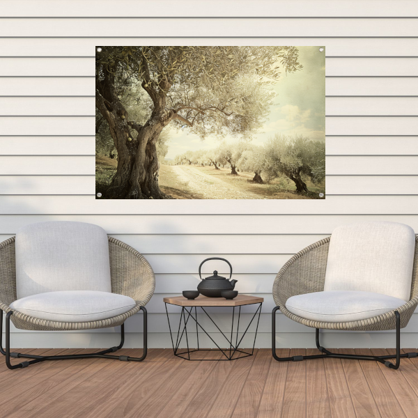 Klassieke olijfbomenlaan tuinposter