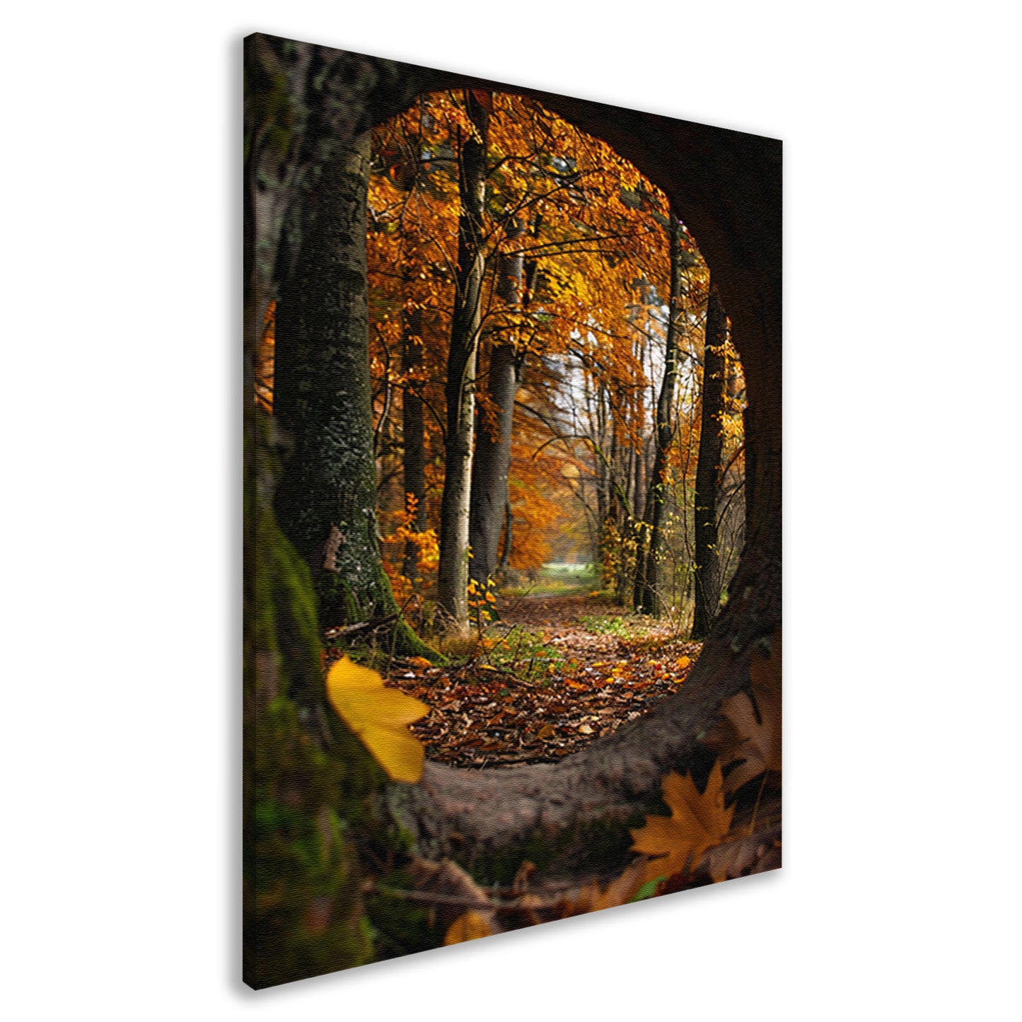Herfstbos door een holle boom canvas