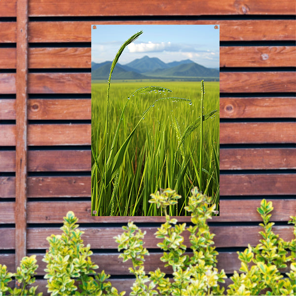 Dauwdruppels op groene grassprieten tuinposter