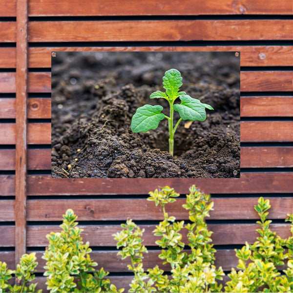 Jonge groene plant in vruchtbare aarde tuinposter