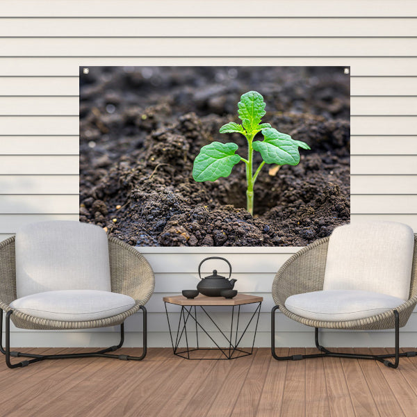 Jonge groene plant in vruchtbare aarde tuinposter
