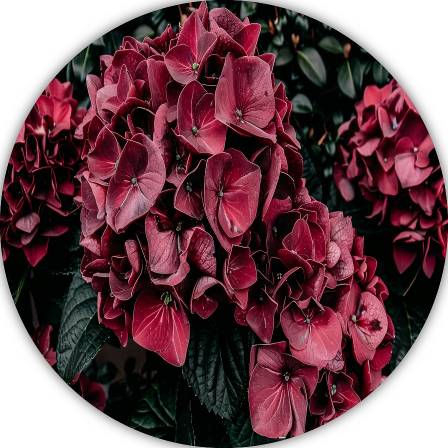 Sfeervolle rode bloemen aluminium muurcirkel
