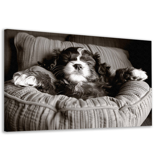 Slapende viervoeter: Slapende viervoeter in comfortabel bed. canvas