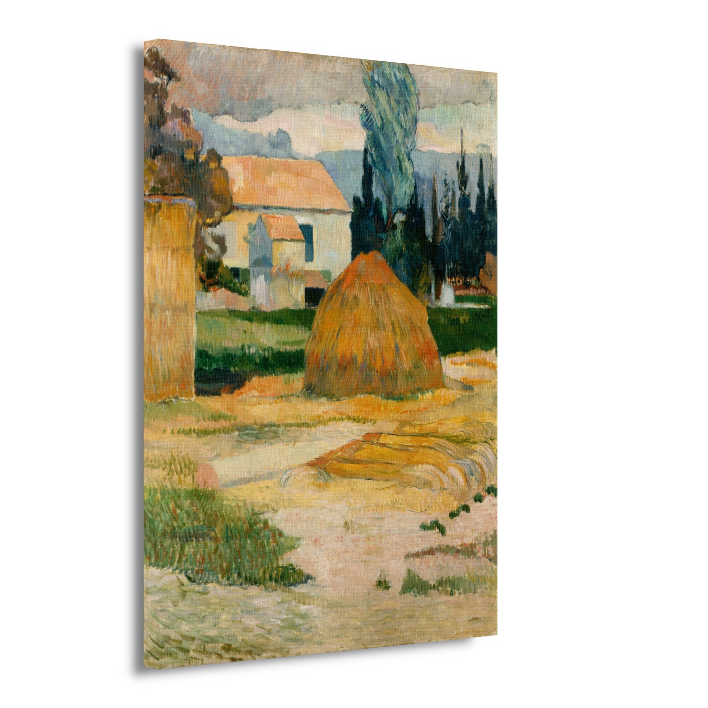 Landschap nabij Arles - Paul Gauguin canvas
