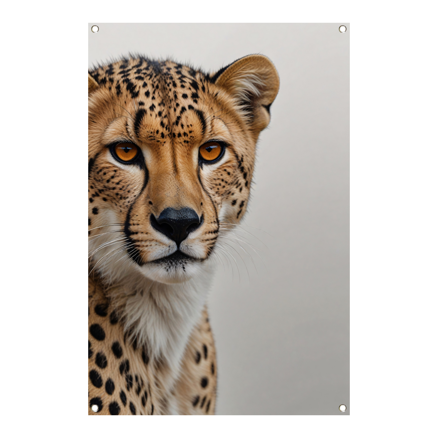 Intense Blik van een Majestueuze Cheeta tuinposter