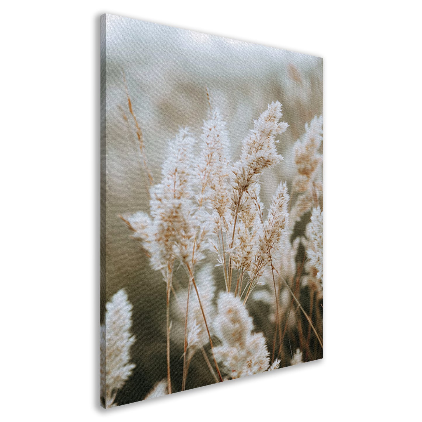 Close-up van Witte Pluimen canvas