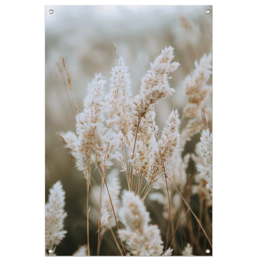 Close-up van Witte Pluimen tuinposter