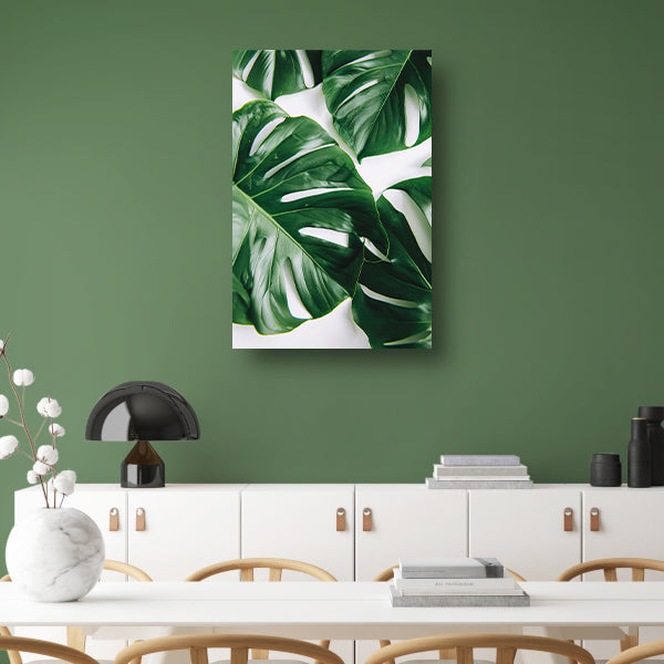 Elegante Monstera bladeren op helderwitte achtergrond acrylglas