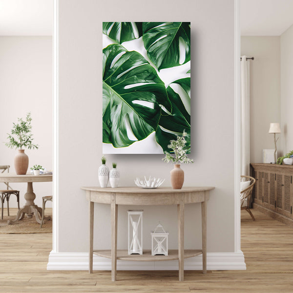 Elegante Monstera bladeren op helderwitte achtergrond acrylglas