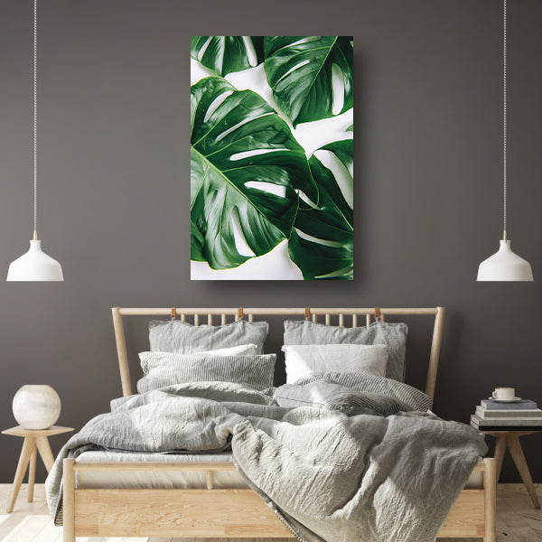 Elegante Monstera bladeren op helderwitte achtergrond acrylglas