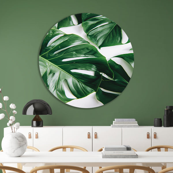 Elegante Monstera bladeren op helderwitte achtergrond aluminium muurcirkel