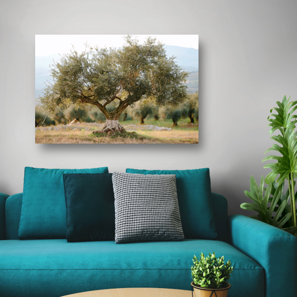 Olijfboom in Impressionistische Stijl canvas met baklijst