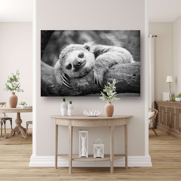 Slapende luiaard op tak canvas