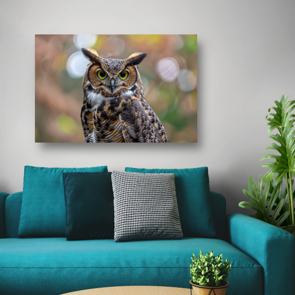 Alert Oog van de Natuurlijke Uil poster