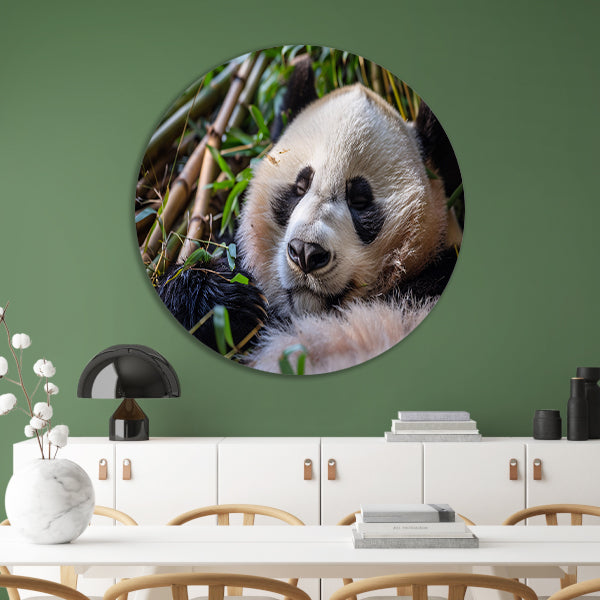 Slapende panda te midden van bamboe forex muurcirkel